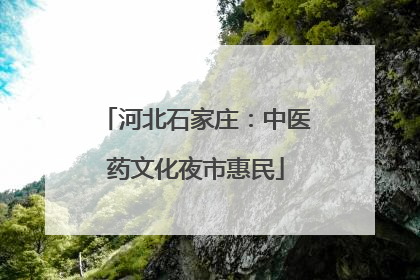 河北石家庄：中医药文化夜市惠民