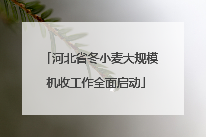 河北省冬小麦大规模机收工作全面启动