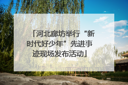 河北廊坊举行“新时代好少年”先进事迹现场发布活动