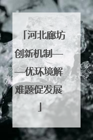 河北廊坊创新机制——优环境解难题促发展