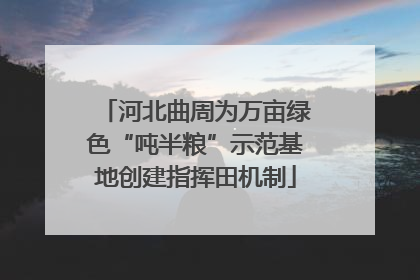 河北曲周为万亩绿色“吨半粮”示范基地创建指挥田机制