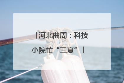 河北曲周：科技小院忙“三夏”