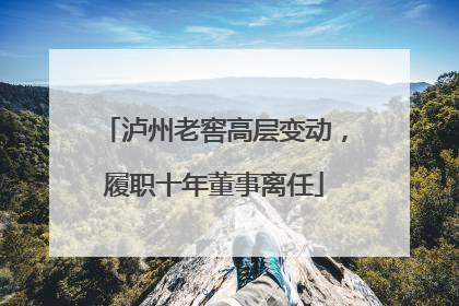 泸州老窖高层变动，履职十年董事离任