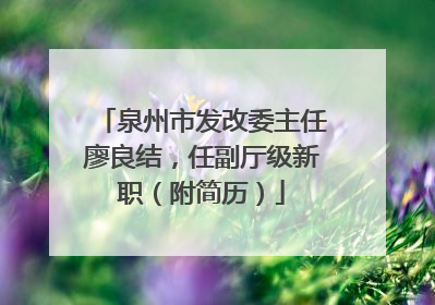泉州市发改委主任廖良结，任副厅级新职（附简历）