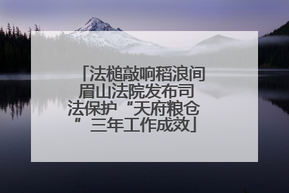 法槌敲响稻浪间 眉山法院发布司法保护“天府粮仓”三年工作成效