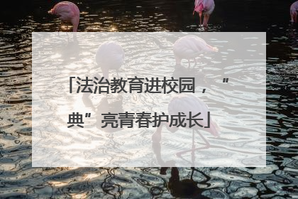 法治教育进校园，“典”亮青春护成长