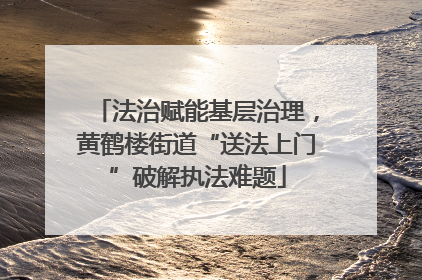 法治赋能基层治理，黄鹤楼街道“送法上门”破解执法难题