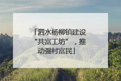 泗水杨柳镇建设“共富工坊”，推动强村富民