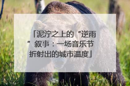 泥泞之上的“逆雨”叙事：一场音乐节折射出的城市温度