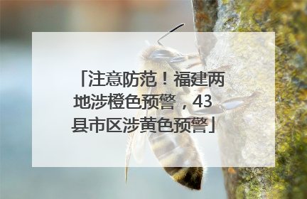 注意防范！福建两地涉橙色预警，43县市区涉黄色预警