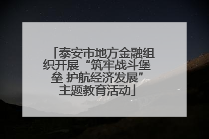 泰安市地方金融组织开展“筑牢战斗堡垒 护航经济发展”主题教育活动