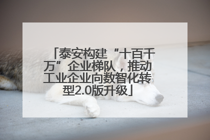泰安构建“十百千万”企业梯队，推动工业企业向数智化转型2.0版升级