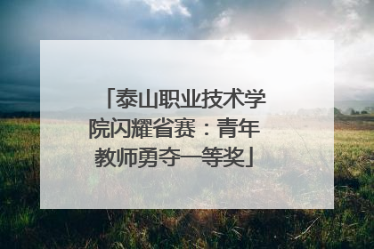 泰山职业技术学院闪耀省赛：青年教师勇夺一等奖