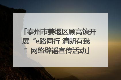 泰州市姜堰区顾高镇开展“e路同行 清朗有我”网络辟谣宣传活动