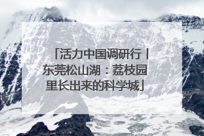 活力中国调研行丨东莞松山湖：荔枝园里长出来的科学城