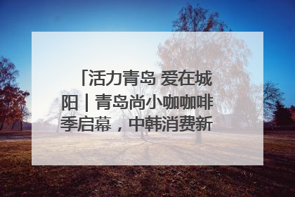 活力青岛 爱在城阳｜青岛尚小咖咖啡季启幕，中韩消费新场景点燃夏日热情