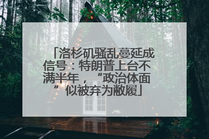 洛杉矶骚乱蔓延成信号：特朗普上台不满半年，“政治体面”似被弃为敝履