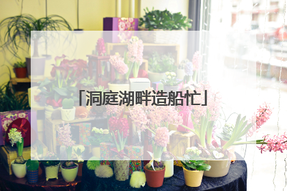 洞庭湖畔造船忙