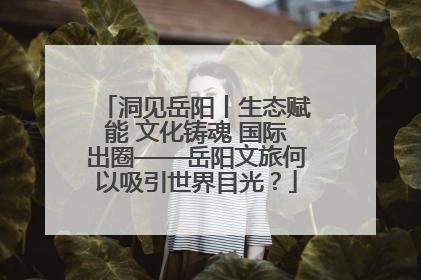 洞见岳阳丨生态赋能 文化铸魂 国际出圈——岳阳文旅何以吸引世界目光？