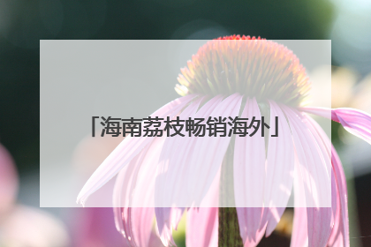 海南荔枝畅销海外