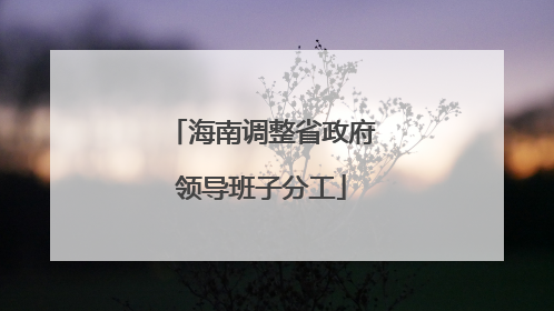 海南调整省政府领导班子分工
