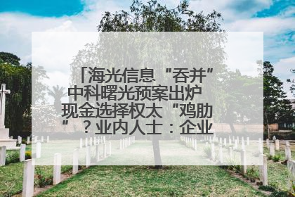 海光信息“吞并”中科曙光预案出炉 现金选择权太“鸡肋”？业内人士：企业不想大量现金流出
