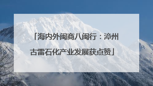 海内外闽商八闽行：漳州古雷石化产业发展获点赞