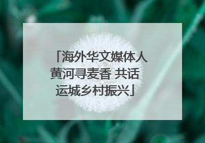 海外华文媒体人黄河寻麦香 共话运城乡村振兴