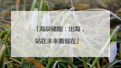 海辰储能：出海，站在未来看现在