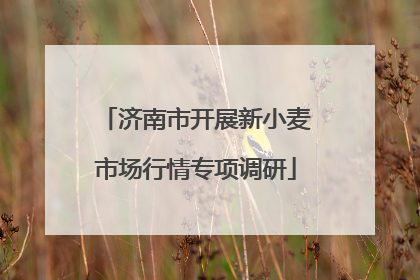 济南市开展新小麦市场行情专项调研