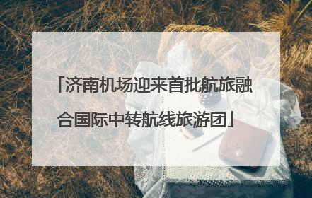 济南机场迎来首批航旅融合国际中转航线旅游团