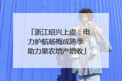 浙江绍兴上虞：电力护航杨梅成熟季 助力果农增产增收