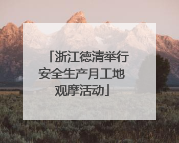 浙江德清举行安全生产月工地观摩活动