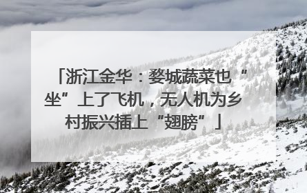 浙江金华：婺城蔬菜也“坐”上了飞机，无人机为乡村振兴插上“翅膀”