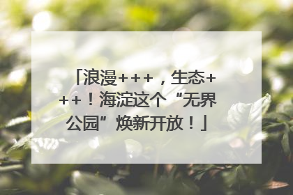浪漫+++，生态+++！海淀这个“无界公园”焕新开放！