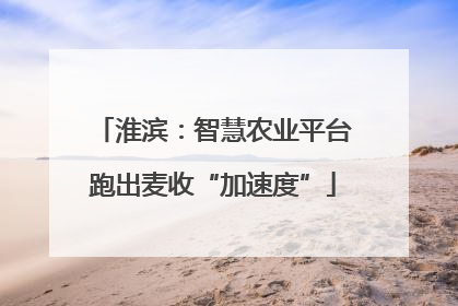 淮滨：智慧农业平台跑出麦收“加速度”