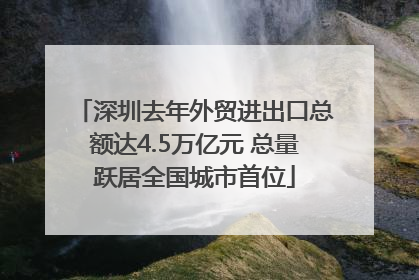 深圳去年外贸进出口总额达4.5万亿元 总量跃居全国城市首位