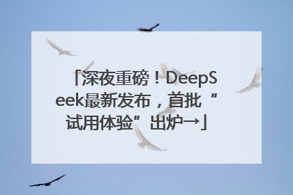 深夜重磅！DeepSeek最新发布，首批“试用体验”出炉→