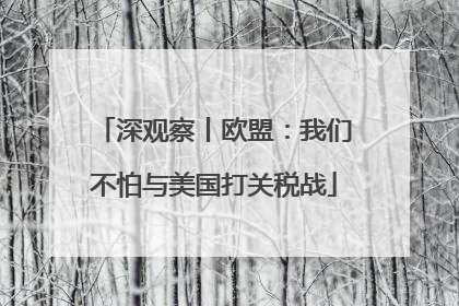 深观察丨欧盟：我们不怕与美国打关税战