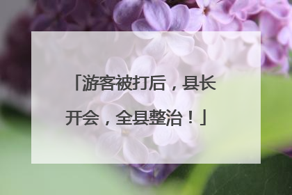 游客被打后，县长开会，全县整治！