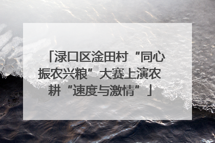 渌口区淦田村“同心振农兴粮”大赛上演农耕“速度与激情”