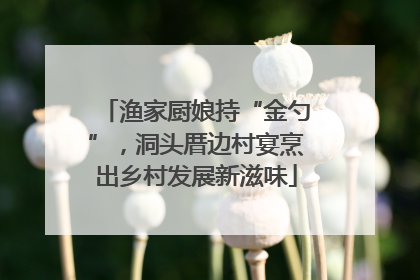 渔家厨娘持“金勺”，洞头厝边村宴烹出乡村发展新滋味