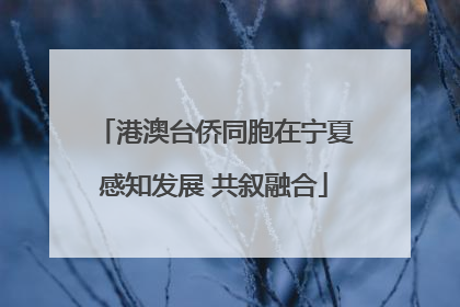 港澳台侨同胞在宁夏感知发展 共叙融合