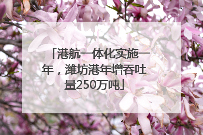 港航一体化实施一年，潍坊港年增吞吐量250万吨