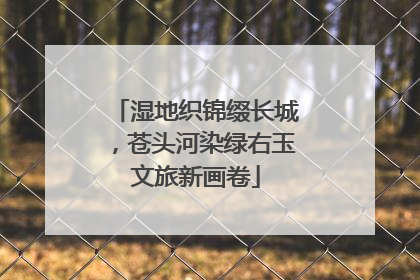 湿地织锦缀长城，苍头河染绿右玉文旅新画卷