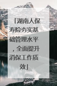 湖南人保寿险夯实基础管理水平，全面提升消保工作质效