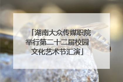 湖南大众传媒职院举行第二十二届校园文化艺术节汇演