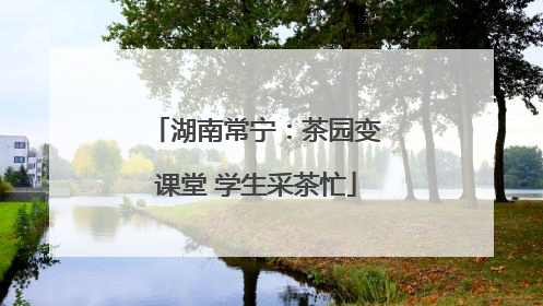湖南常宁：茶园变课堂 学生采茶忙
