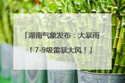 湖南气象发布：大暴雨！7-9级雷暴大风！