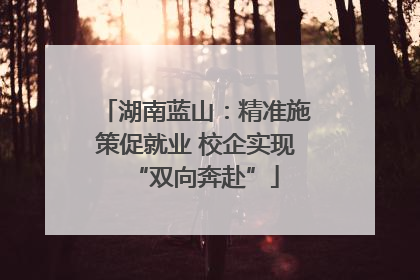 湖南蓝山：精准施策促就业 校企实现“双向奔赴”
